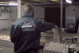 Agrarische bedrijfsverzorging